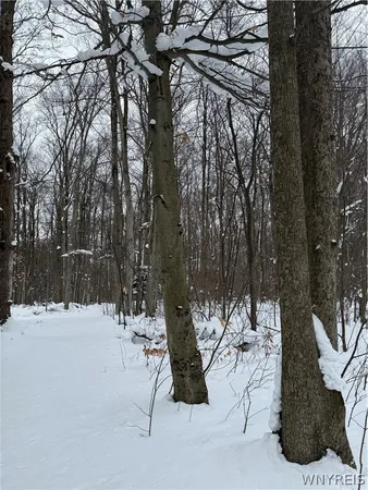 $35,000 | Syler Road, Varysburg, NY 14167