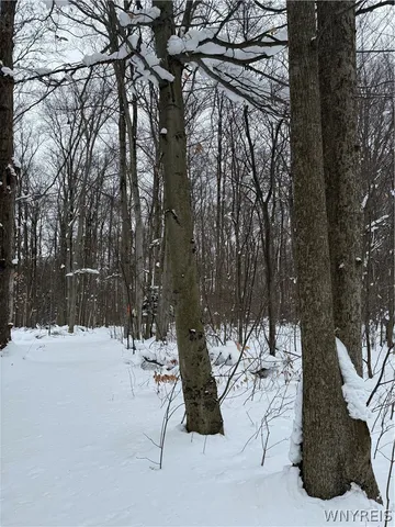 $35,000 | Syler Road, Varysburg, NY 14167