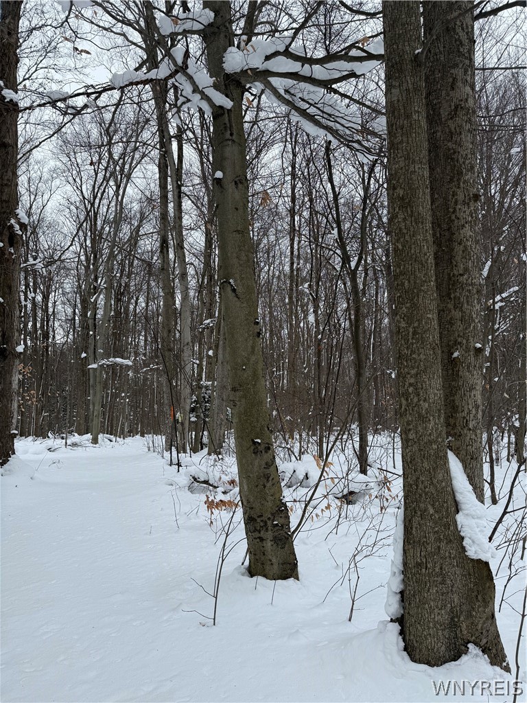 Syler Road Varysburg, NY 14167 - Photo 4 of 6