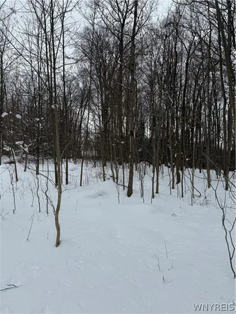 $35,000 | Syler Road, Varysburg, NY 14167