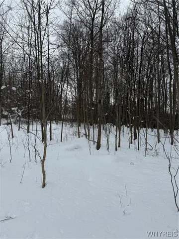 $35,000 | Syler Road, Varysburg, NY 14167