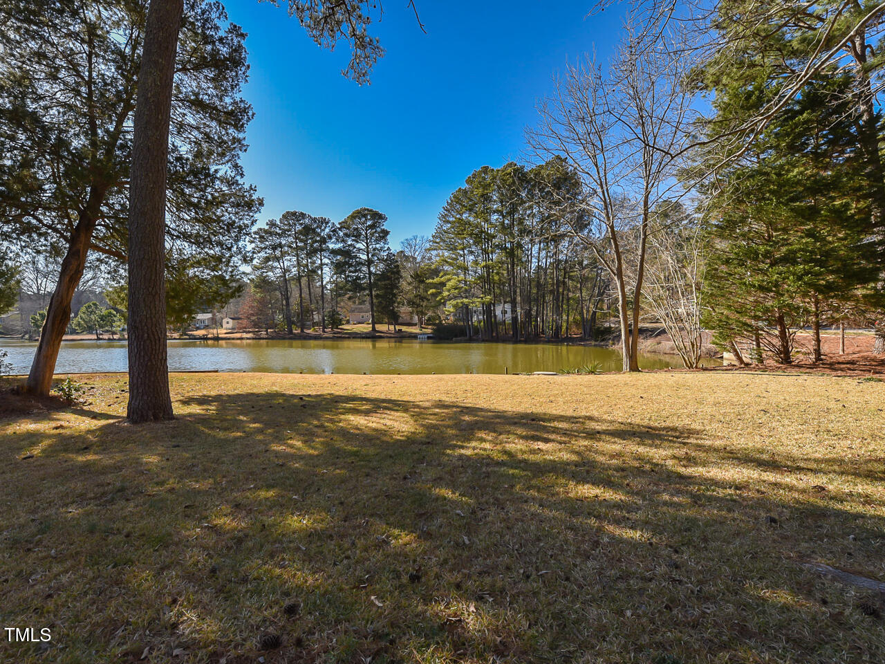 5200 Newhall Road Durham, NC 27713 - Photo 11 of 35 a view of yard with trees