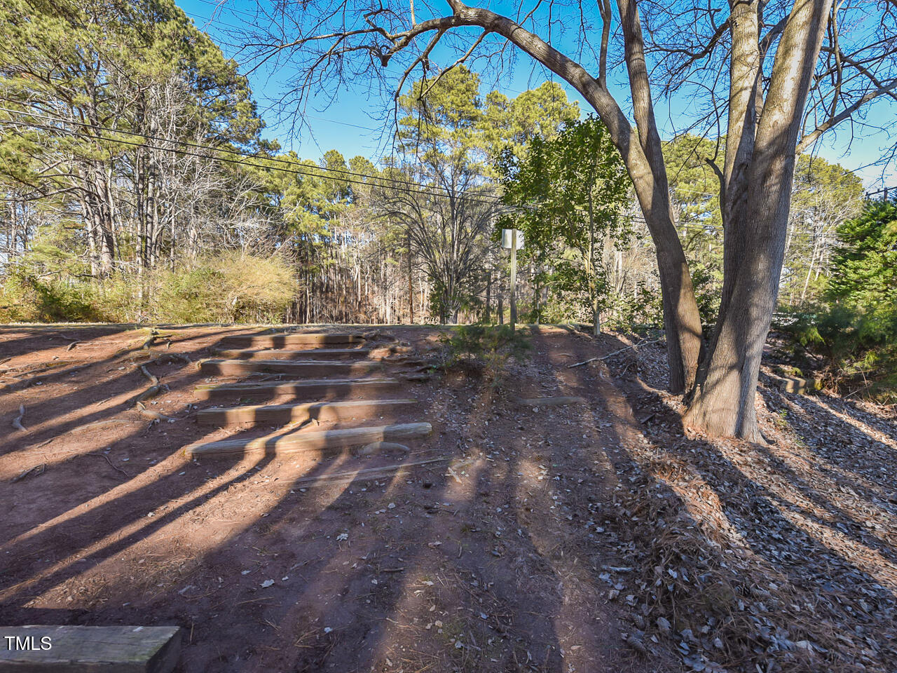 5200 Newhall Road Durham, NC 27713 - Photo 16 of 35 a view of a backyard with large trees