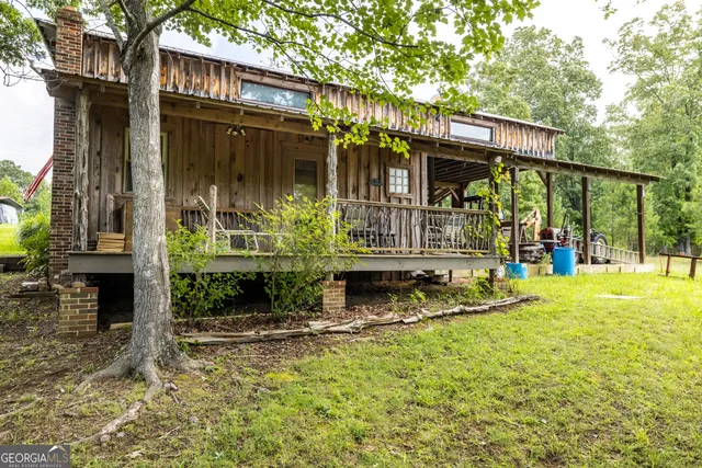 a view of a garden with plants