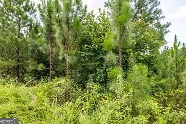 $1,590,000 | 36 Stargazer Trail Northwest, Rome, GA 30165