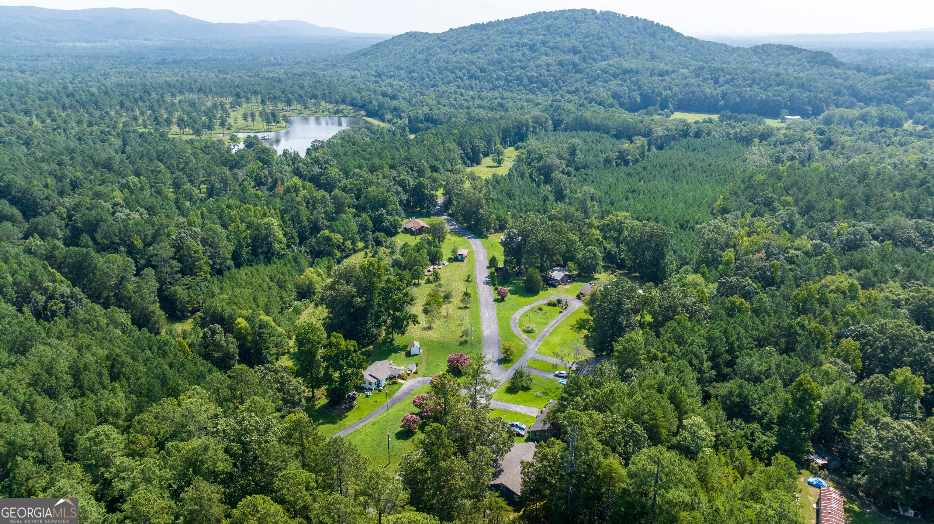 36 Stargazer Trail Northwest Rome, GA 30165 - Photo 58 of 79 a view of a lush green forest with trees in the background