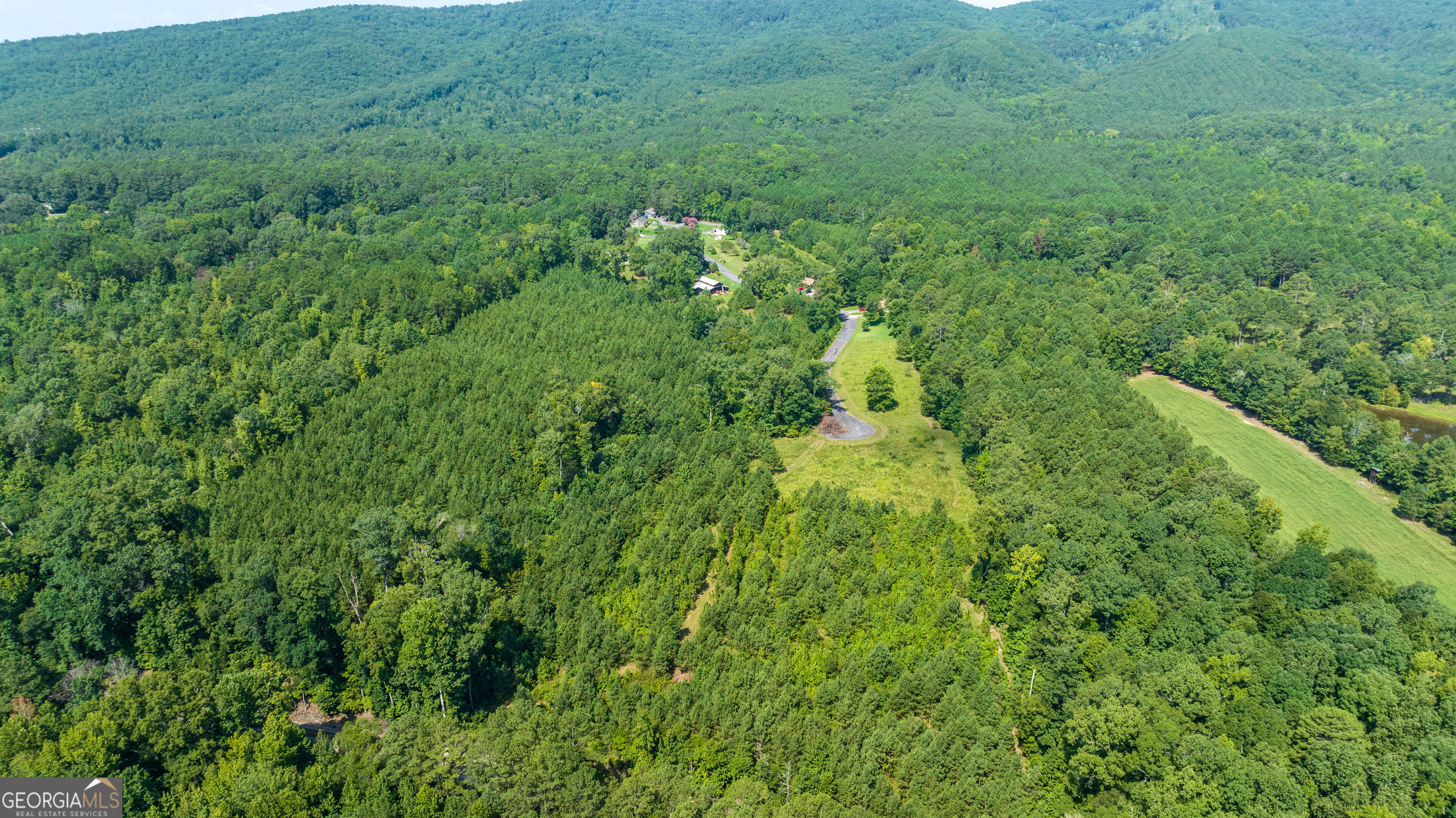 36 Stargazer Trail Northwest Rome, GA 30165 - Photo 62 of 79 a view of a lush green forest with lots of trees