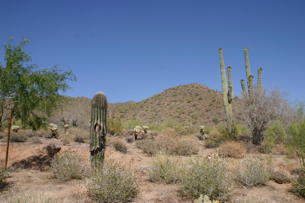 3825 North Hawes Road, Unit 12 Mesa, AZ 85207 - Photo 2 of 2 Preserve Views