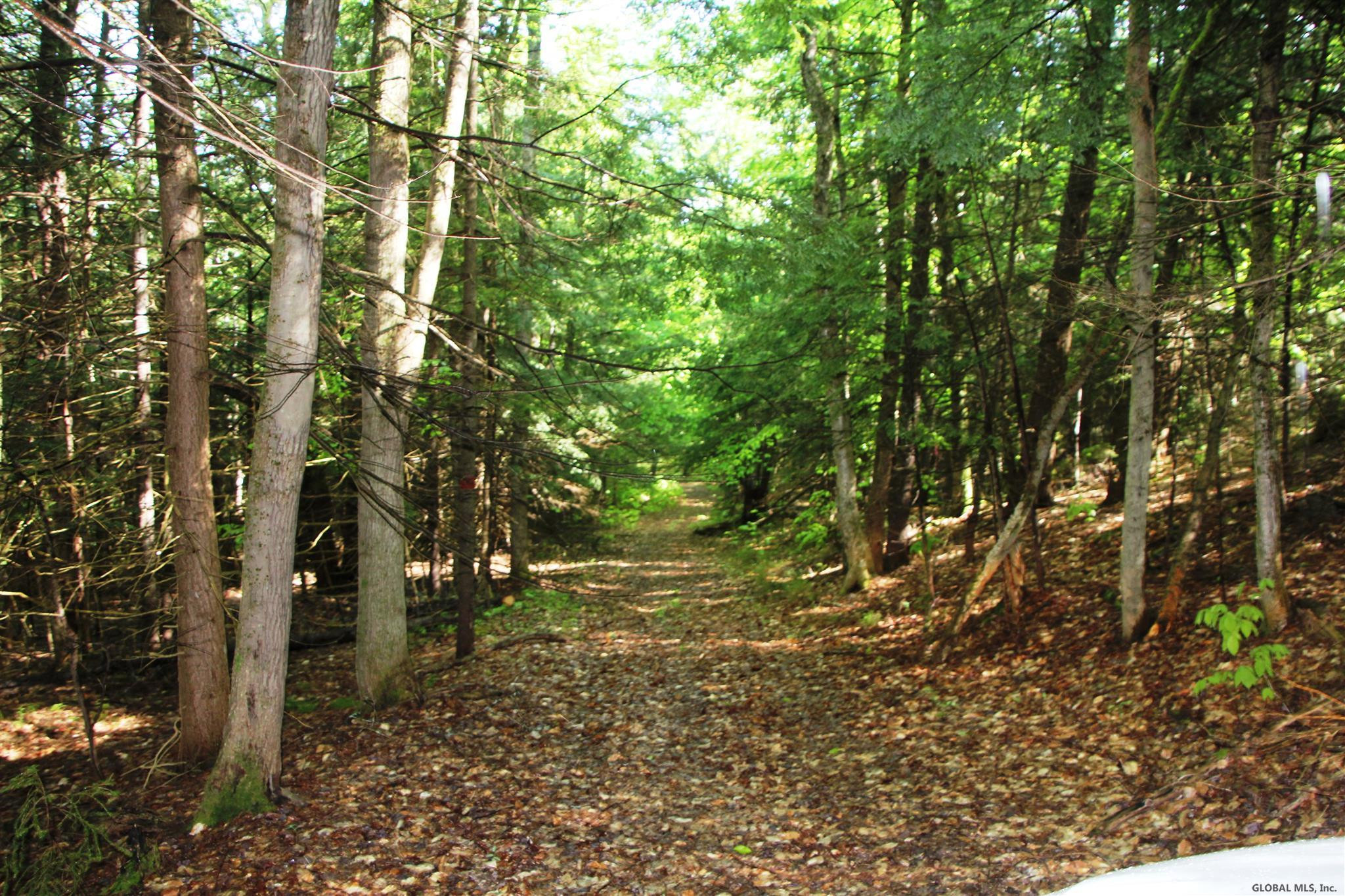 Mud Lake Rd Summit Summit, NY 12175 - Photo 1 of 5 Photo 1