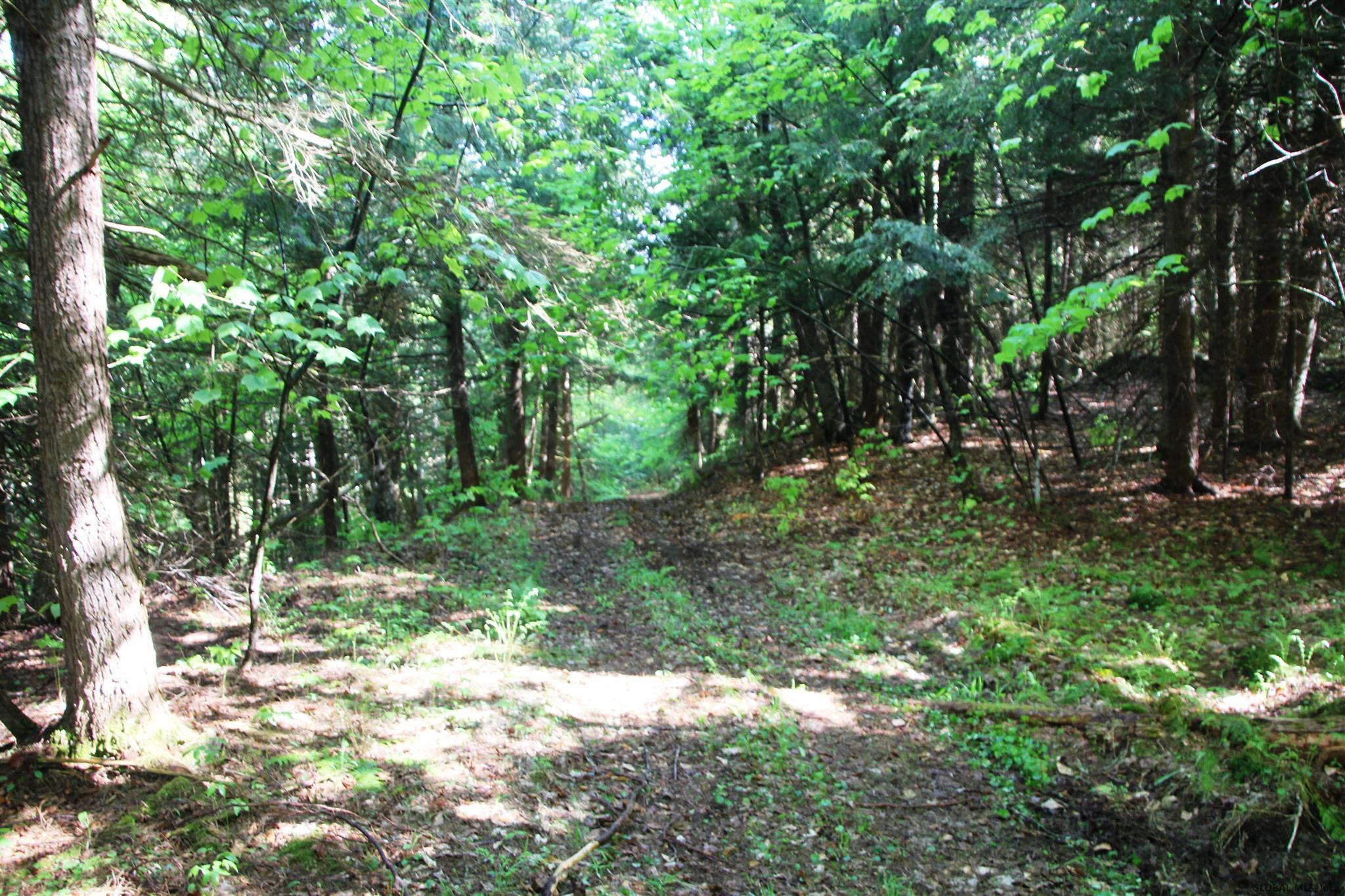 Mud Lake Rd Summit Summit, NY 12175 - Photo 2 of 5 Photo 2