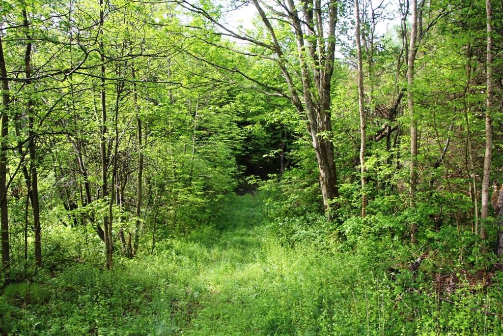 Mud Lake Rd Summit Summit, NY 12175 - Photo 4 of 5 Photo 4