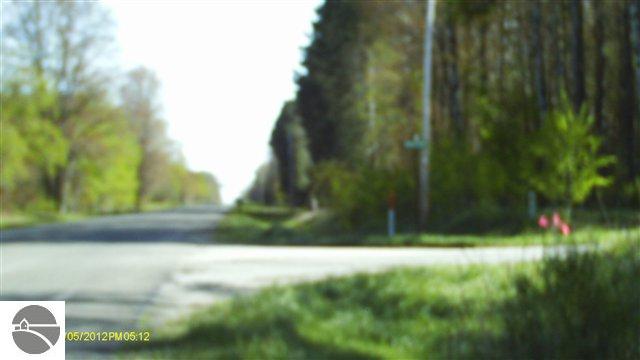 Healey Lake Road Thompsonville, MI 49683 - Photo 3 of 14 1735748-4.JPG