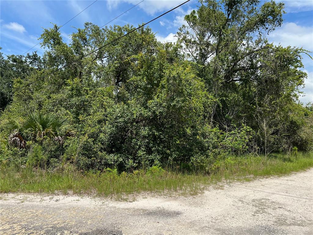 10232 Field Street New Port Richey, FL 34654 - Photo 1 of 1 Gallery Image 1