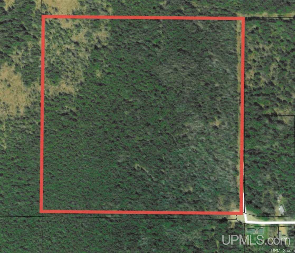 Tbd Freeman Road Manistique, MI 49854 - Photo 4 of 5