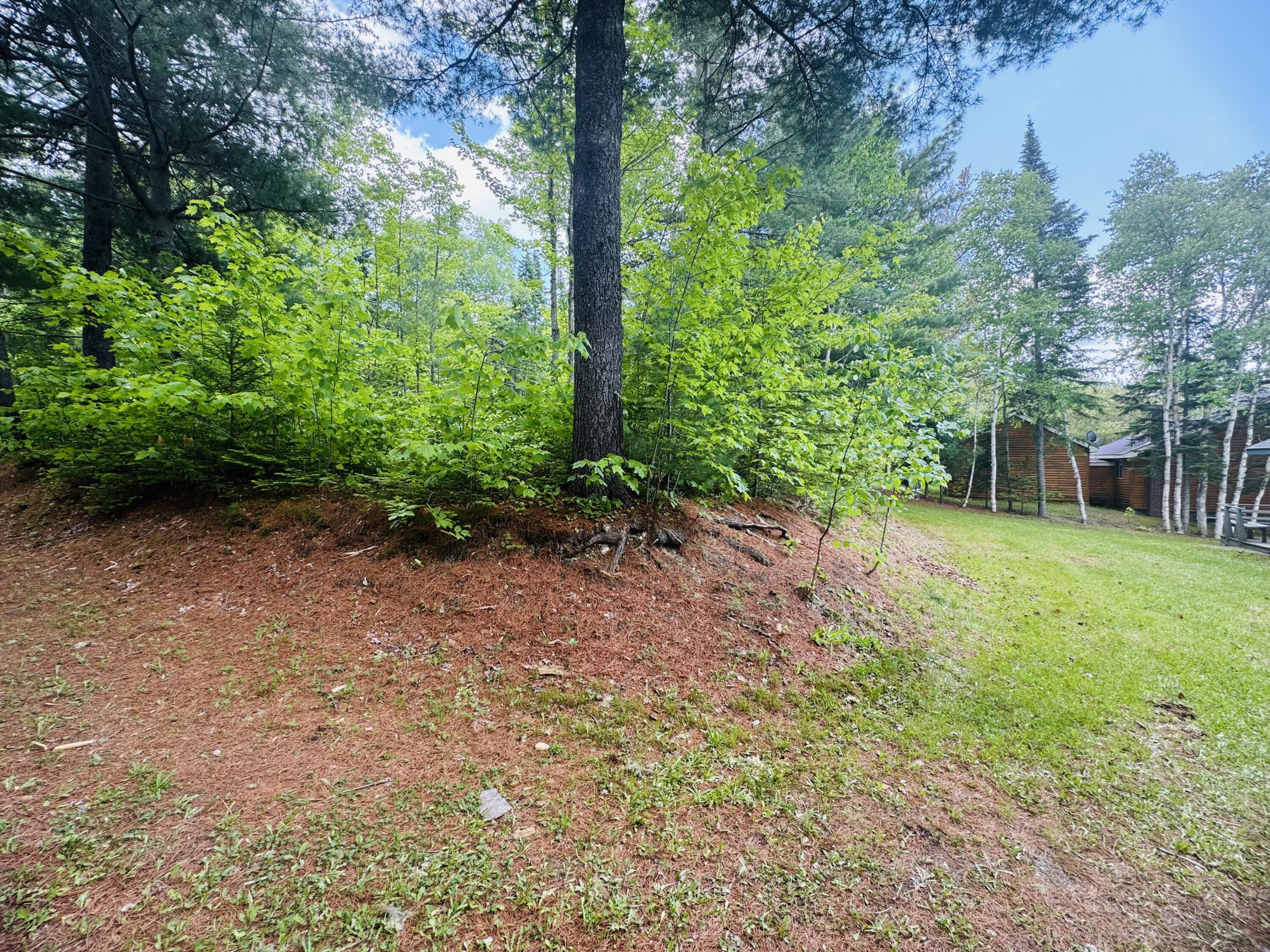 462 East Road Sinclair, ME 04779 - Photo 18 of 41