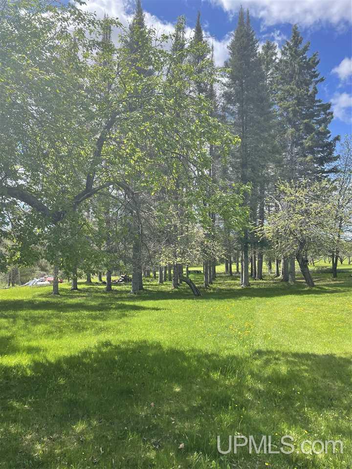 N19598 Swede Road Perronville, MI 49873 - Photo 17 of 59