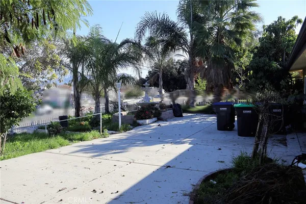a view of a park with palm trees