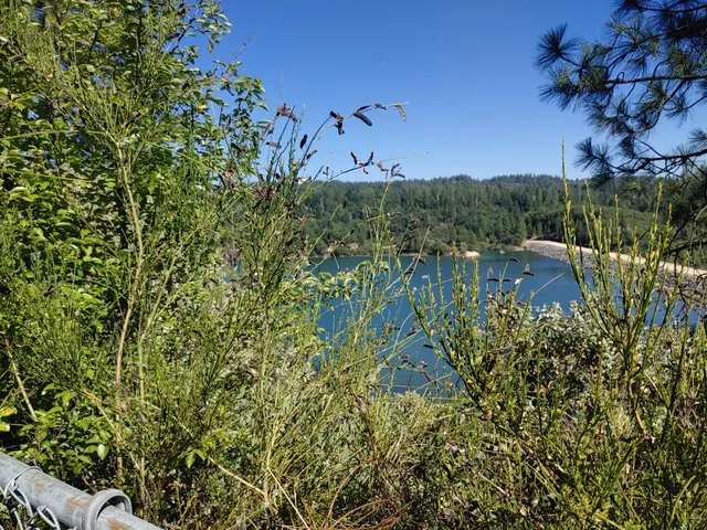 $849,000 | 1333 Highway 174, Colfax, CA 95713