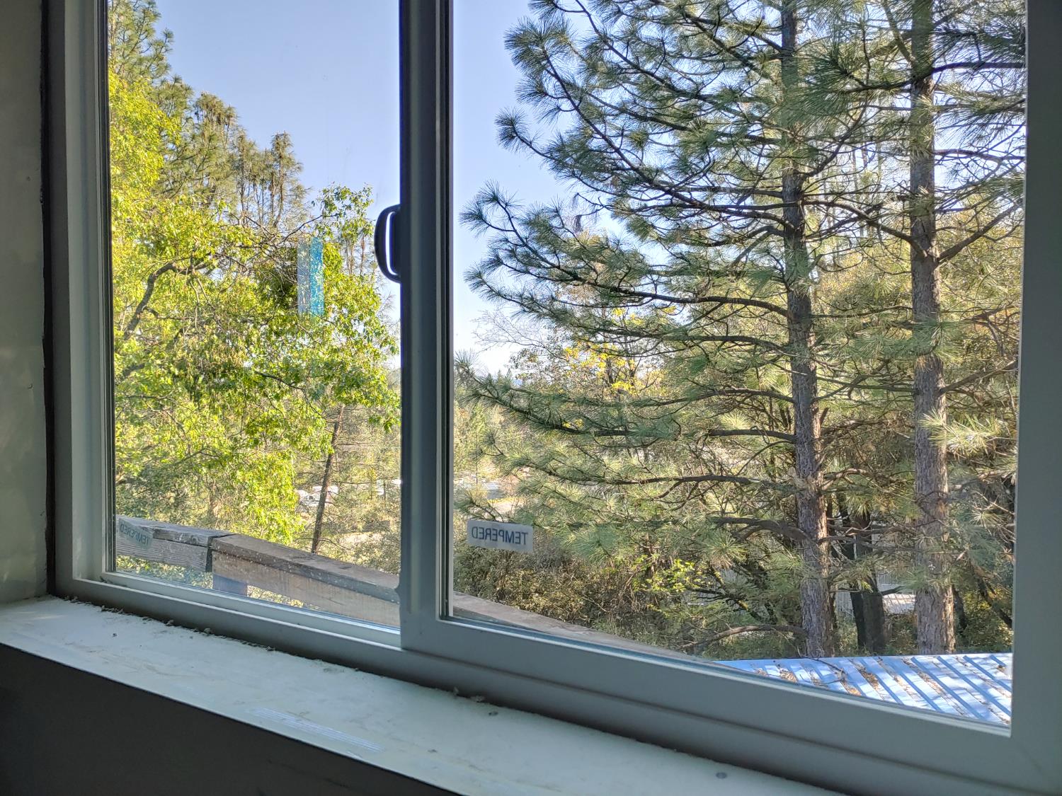 1333 Highway 174 Colfax, CA 95713 - Photo 34 of 58 Forest View