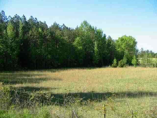 1466 Barnes Station Road Iva, SC 29655 - Photo 2 of 4