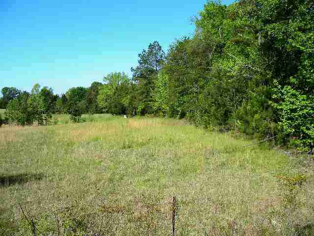 1466 Barnes Station Road Iva, SC 29655 - Photo 3 of 4