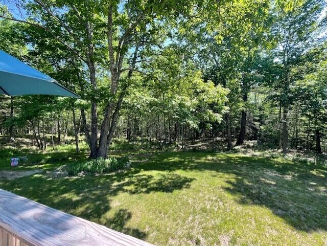 24 Lynch Hill Road Milbridge, ME 04658 - Photo 19 of 23 Back Yard 2