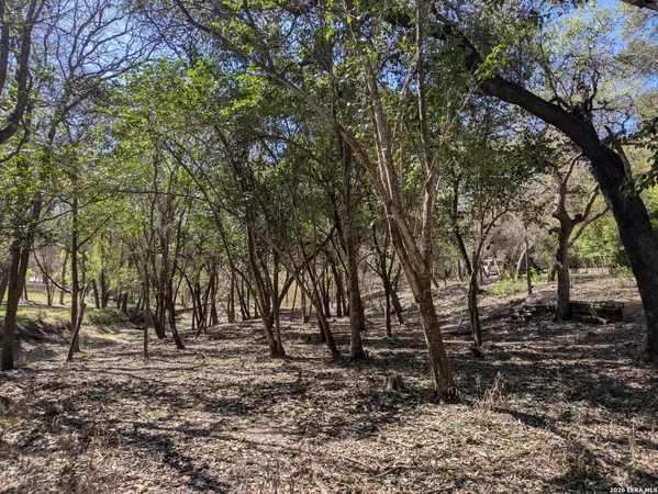a view of outdoor space with lots of trees