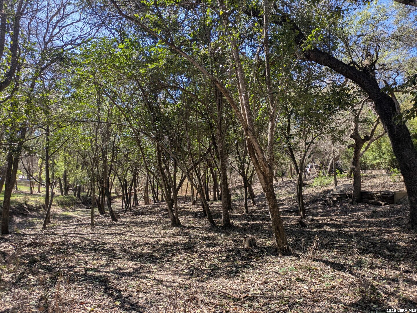 19612 Greenhill Drive Helotes, TX 78023 - Photo 1 of 3 a view of outdoor space with lots of trees