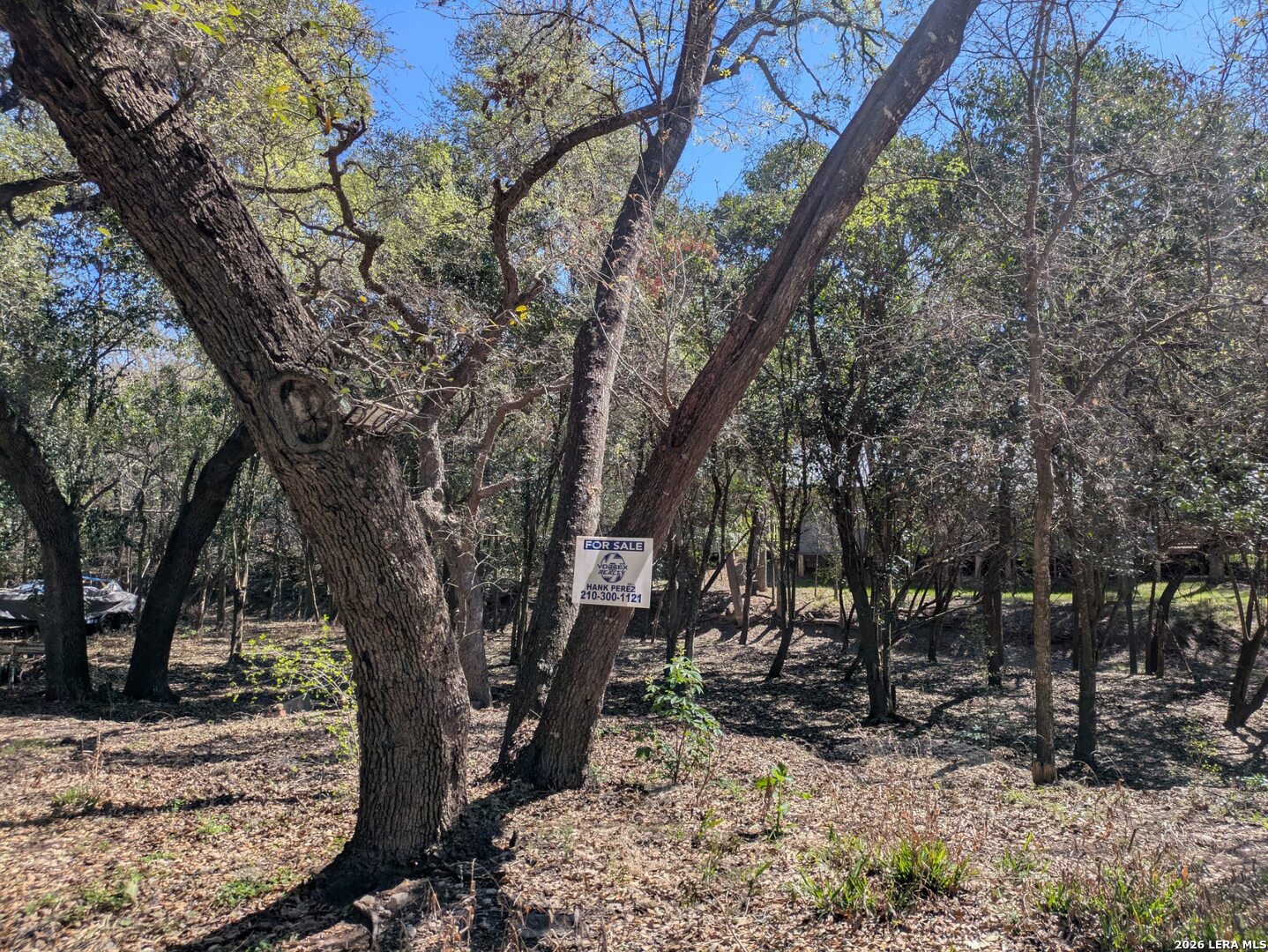 19612 Greenhill Road Helotes, TX 78023 - Photo 2 of 5