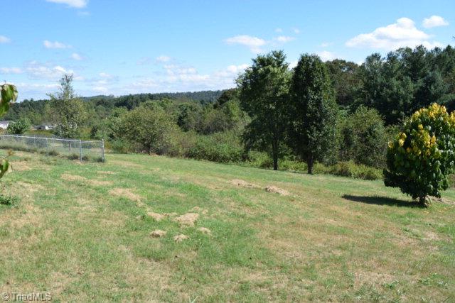 228 Rab Road Purlear, NC 28665 - Photo 29 of 33