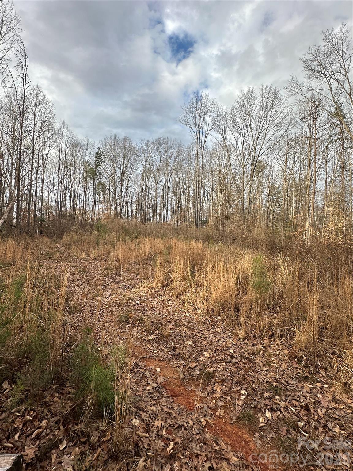 500 Hopewell Church Road Catawba, NC 28609 - Photo 3 of 6 a view of a lake view