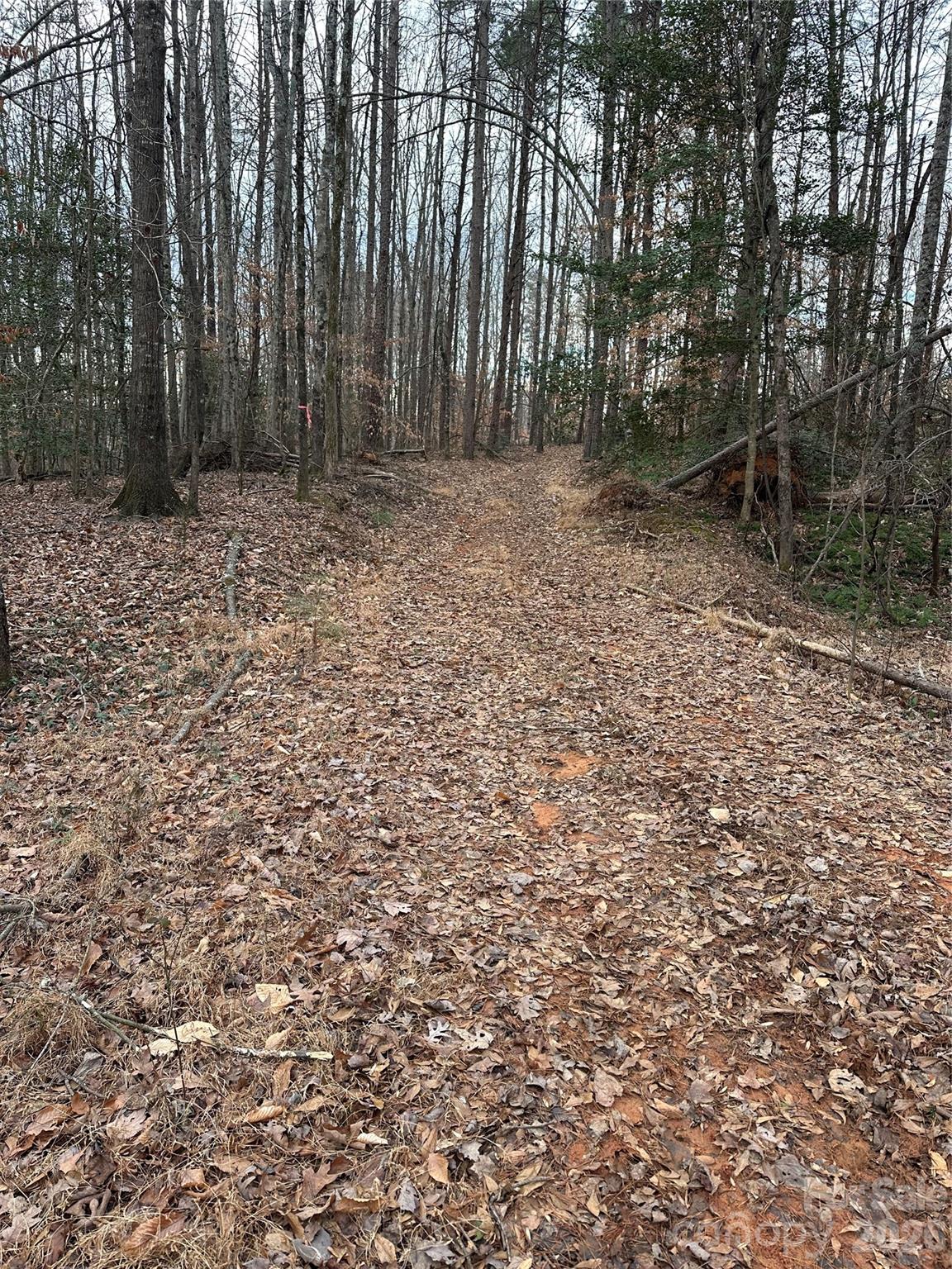 500 Hopewell Church Road Catawba, NC 28609 - Photo 4 of 6 a view of a yard with large trees