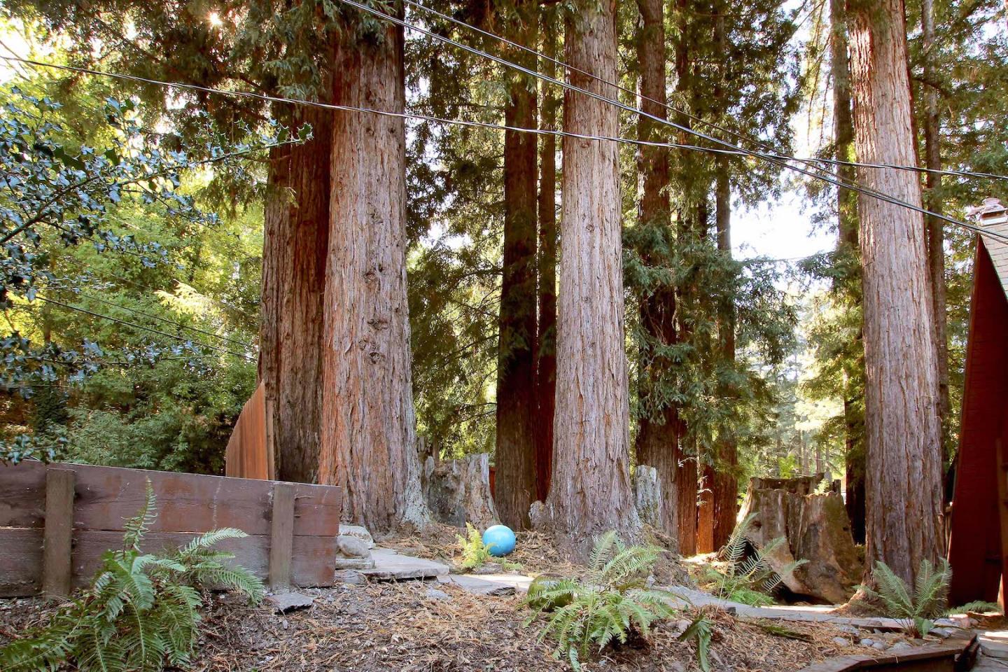 220 Shadowbrook Road Ben Lomond, CA 95005 - Photo 3 of 24 a view of a backyard with plants and large trees