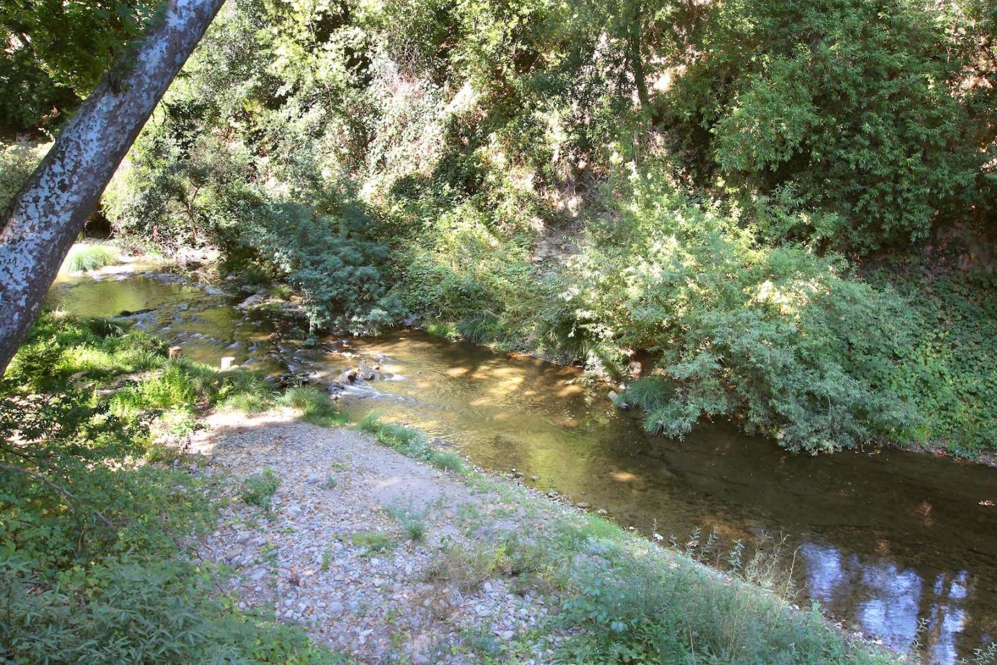 220 Shadowbrook Road Ben Lomond, CA 95005 - Photo 7 of 24 a view of a yard