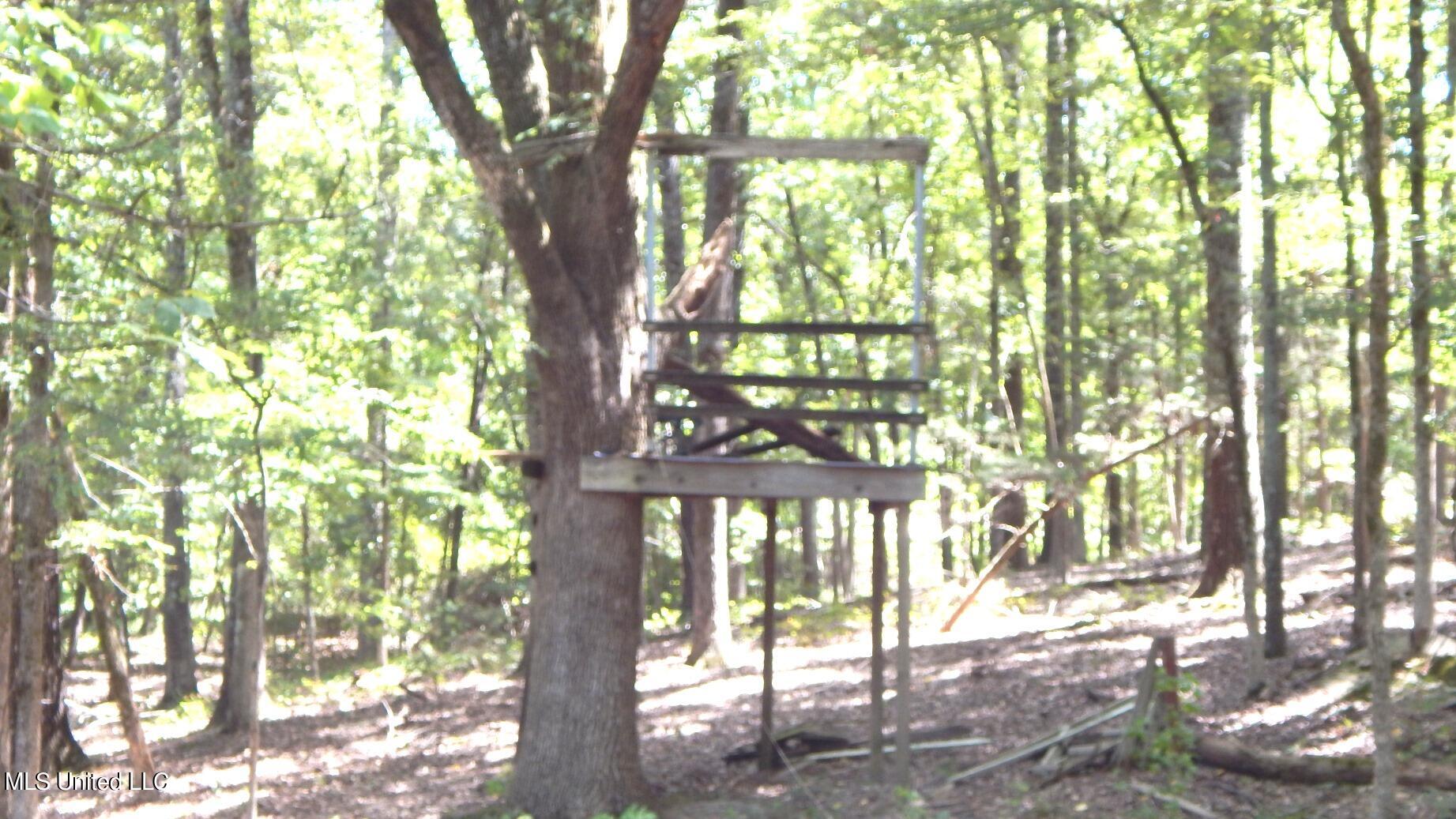 142 Oakdale Road Coldwater, MS 38618 - Photo 13 of 23 DSCN5767