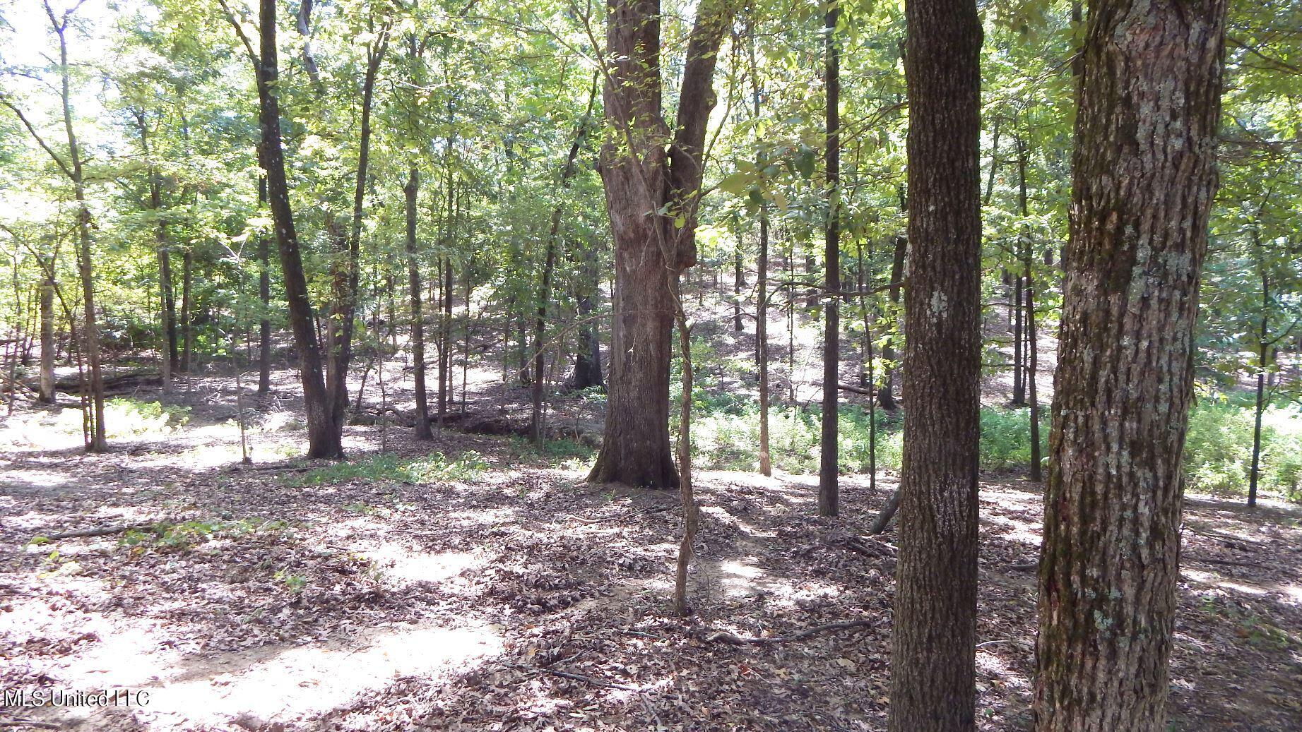 142 Oakdale Road Coldwater, MS 38618 - Photo 17 of 23 DSCN5772