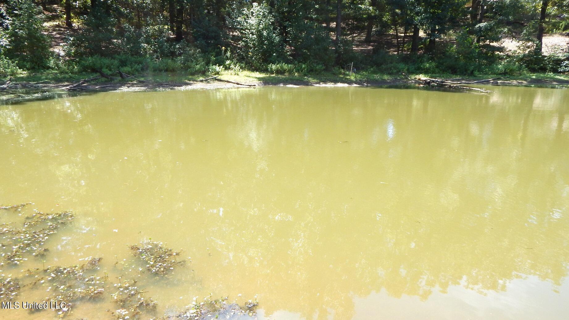 142 Oakdale Road Coldwater, MS 38618 - Photo 18 of 23 DSCN5773