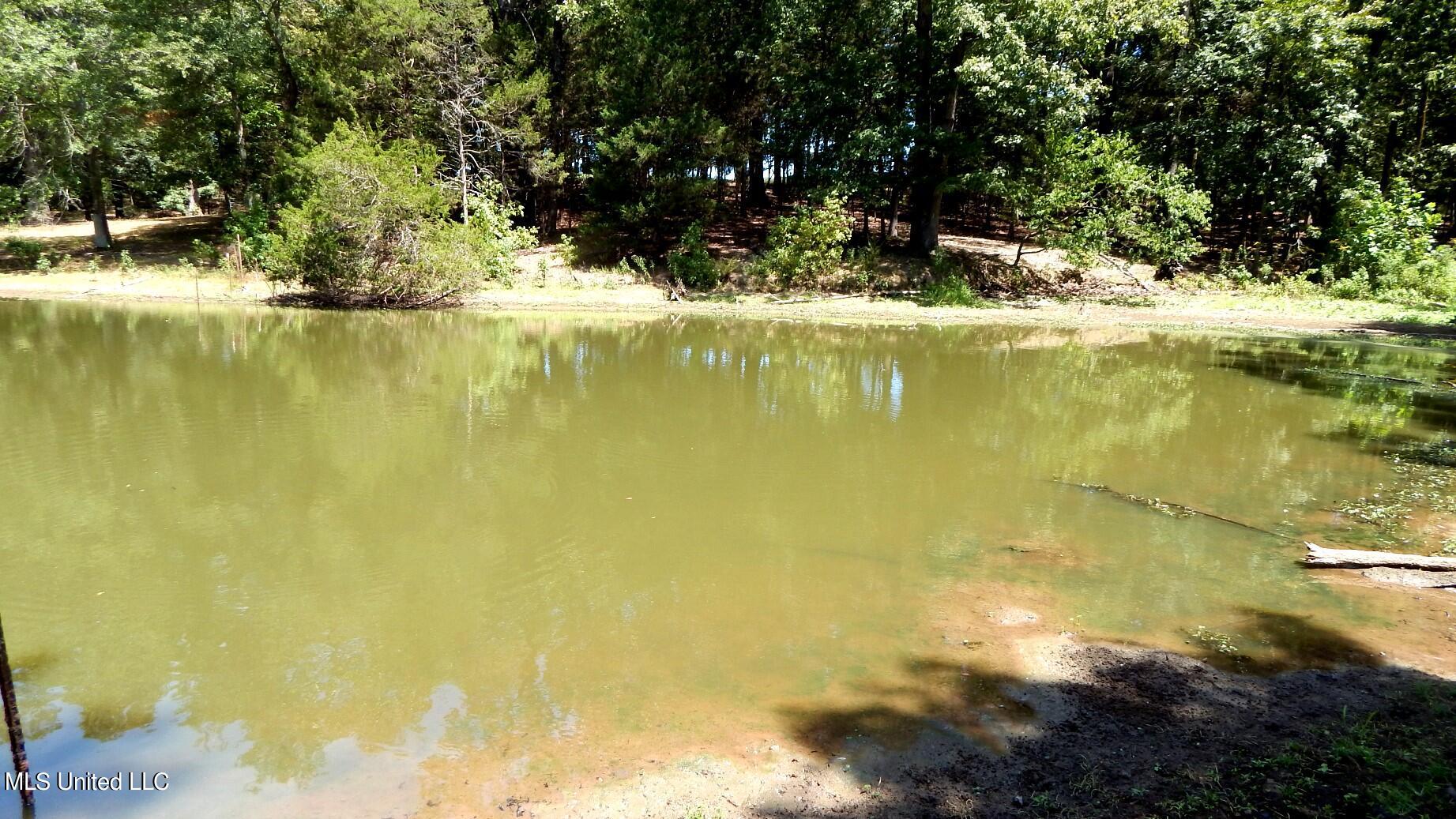 142 Oakdale Road Coldwater, MS 38618 - Photo 3 of 23 DSCN5768