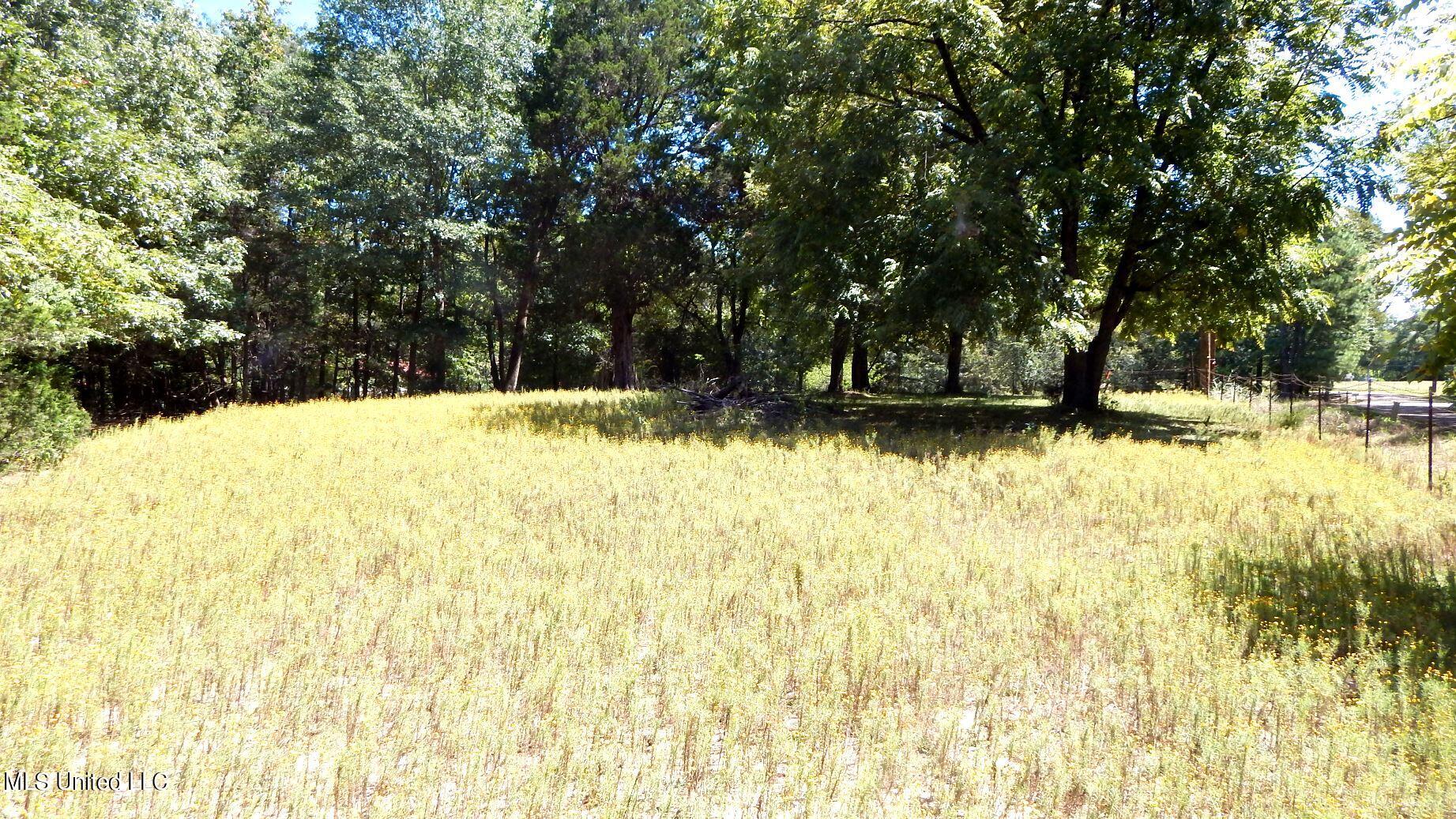 142 Oakdale Road Coldwater, MS 38618 - Photo 6 of 23 DSCN5759