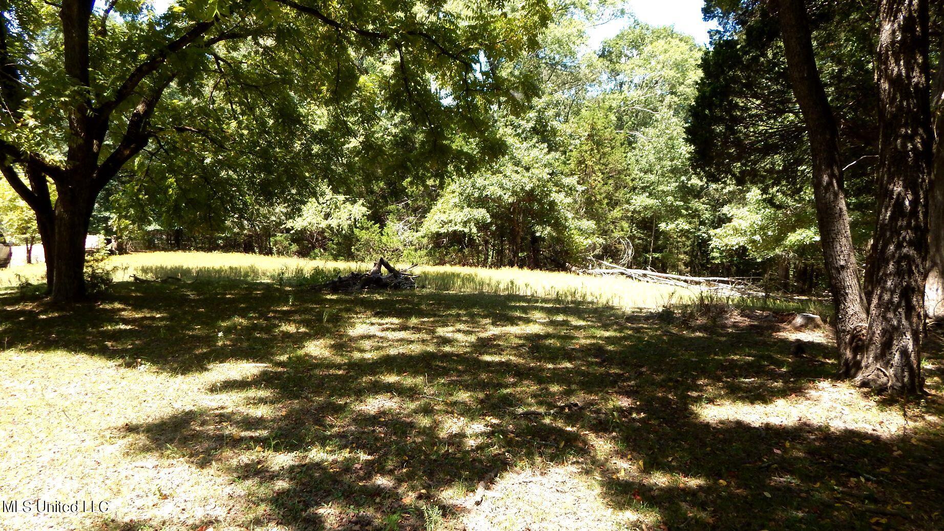 142 Oakdale Road Coldwater, MS 38618 - Photo 8 of 23 DSCN5762