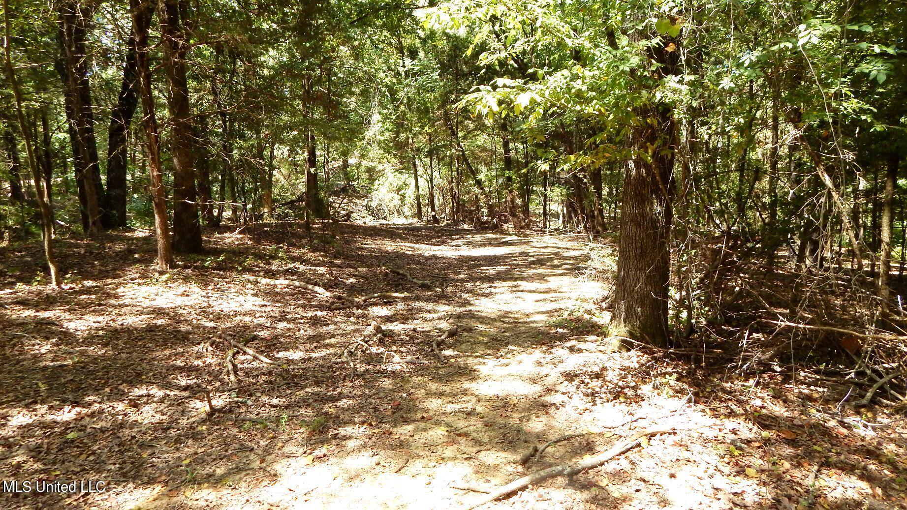 142 Oakdale Road Coldwater, MS 38618 - Photo 10 of 23 DSCN5764