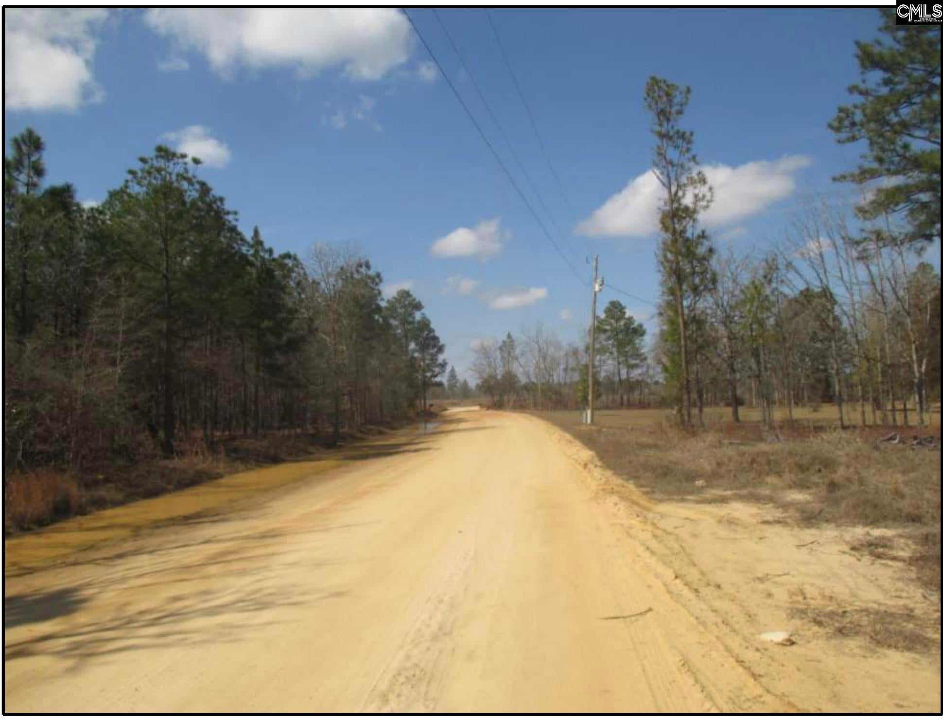 0 Webbs Pond Road Williston, SC 29853 - Photo 4 of 4 Gallery Image 4