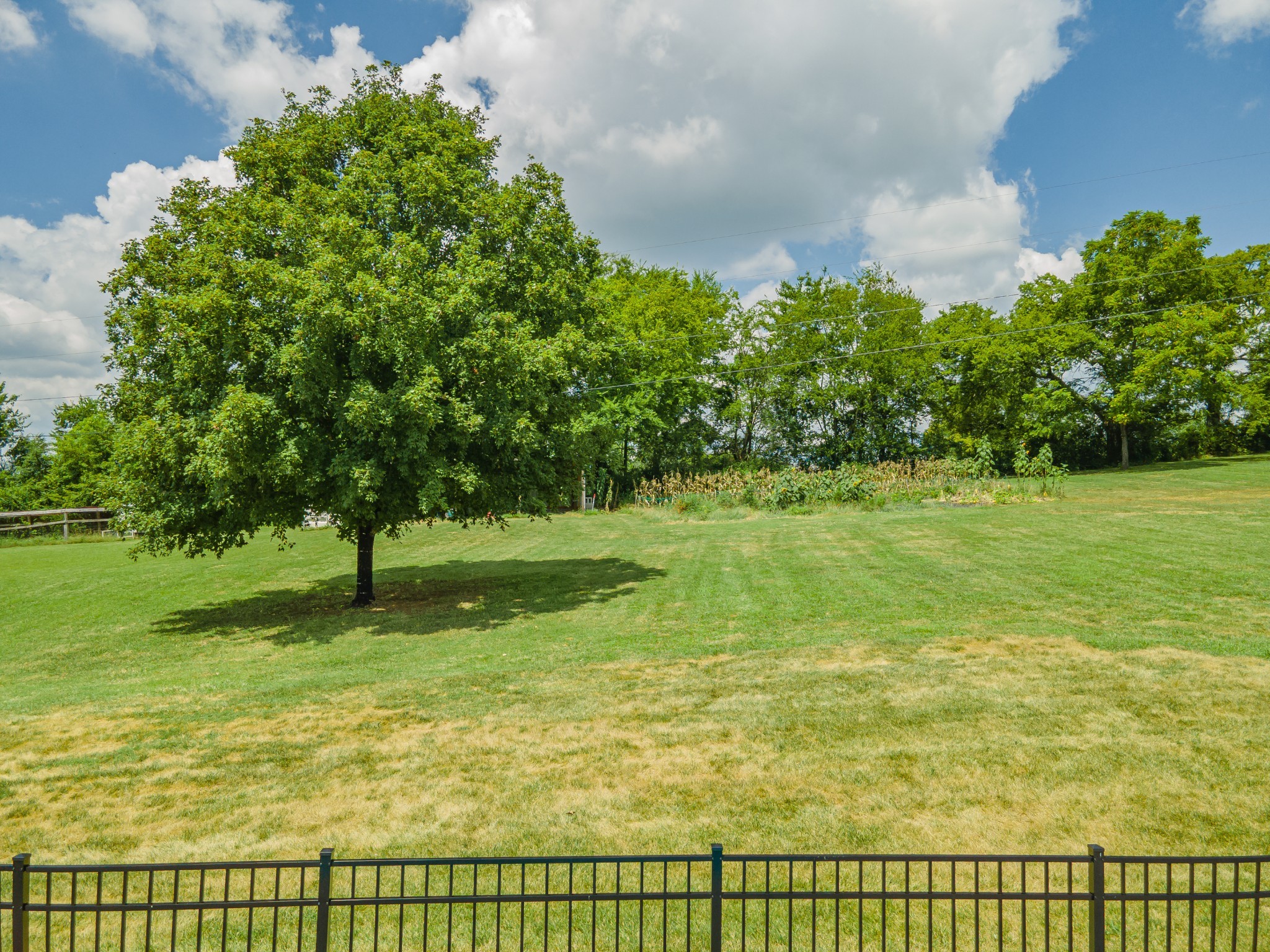 1056 South Cross Bridges Road Mount Pleasant, TN 38474 - Photo 11 of 30 a view of a garden