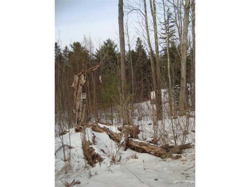 11-54 North Road Newburgh, ME 04444 - Photo 3 of 3 Land.