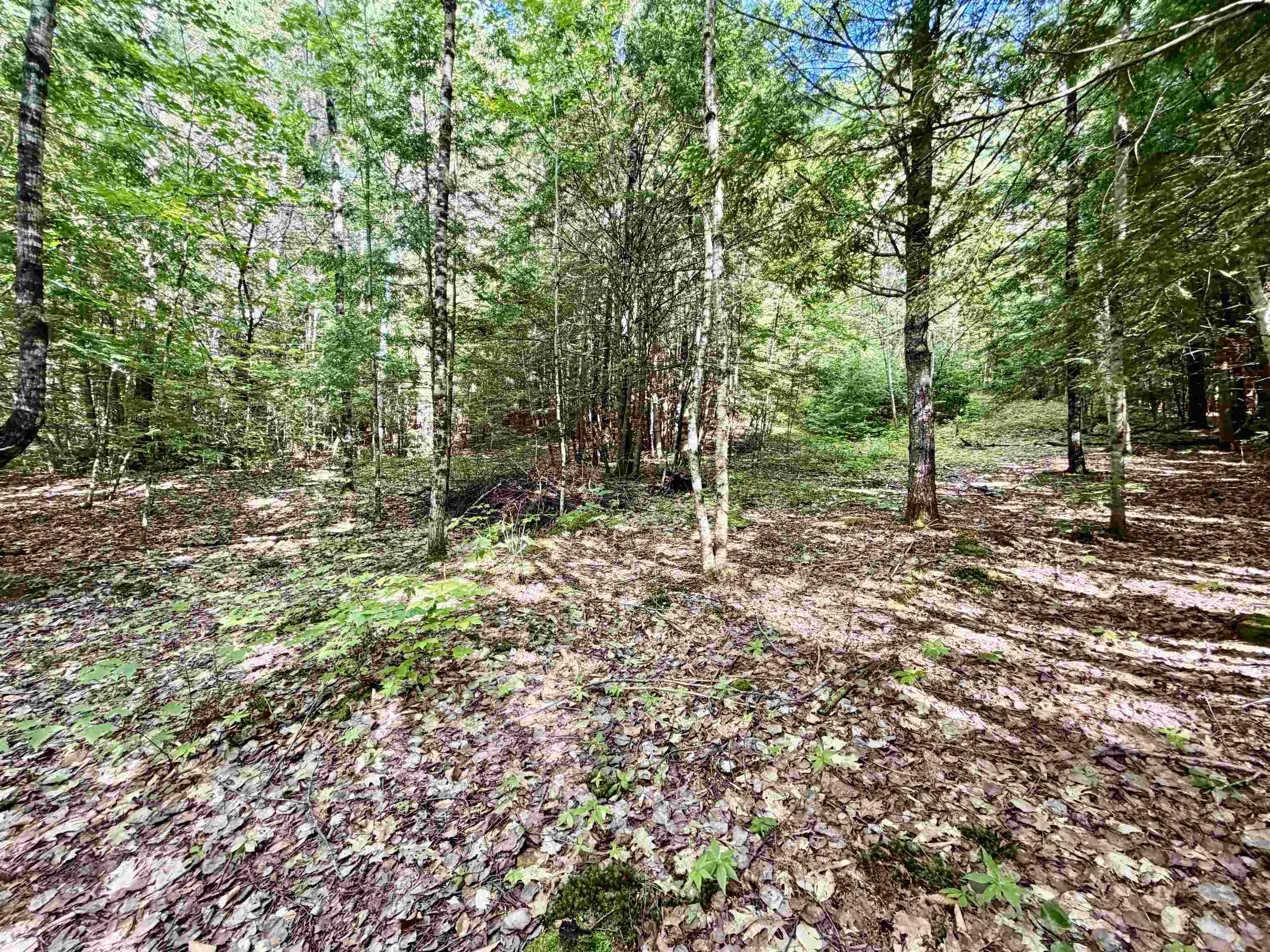 175 Nh Route Campton, NH 03223 - Photo 7 of 15
