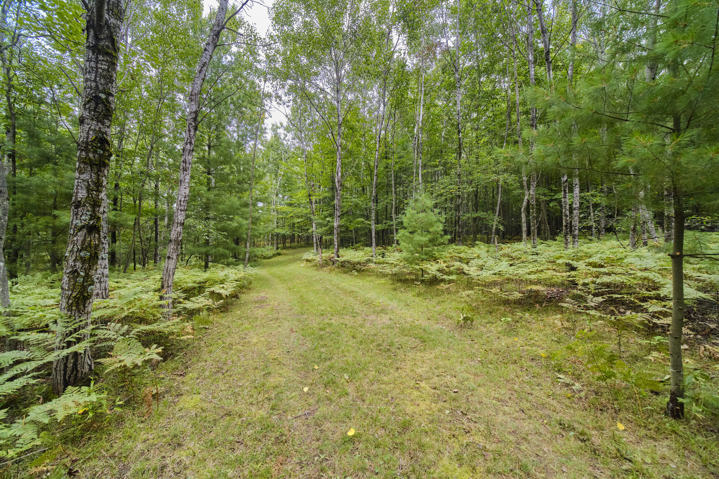 8089 Hunter Ridge Trail Copemish, MI 49625 - Photo 45 of 61 8089 Hunter's Ridge