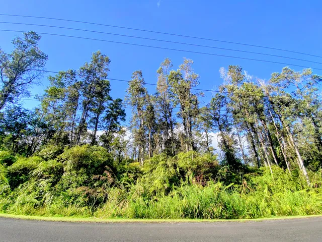 $35,000 | 65 Kahukai Street, Pahoa, HI 96778