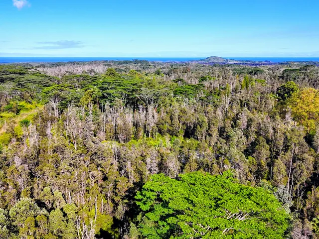 $35,000 | 65 Kahukai Street, Pahoa, HI 96778