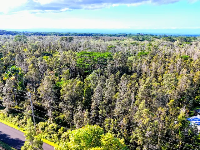 $35,000 | 65 Kahukai Street, Pahoa, HI 96778