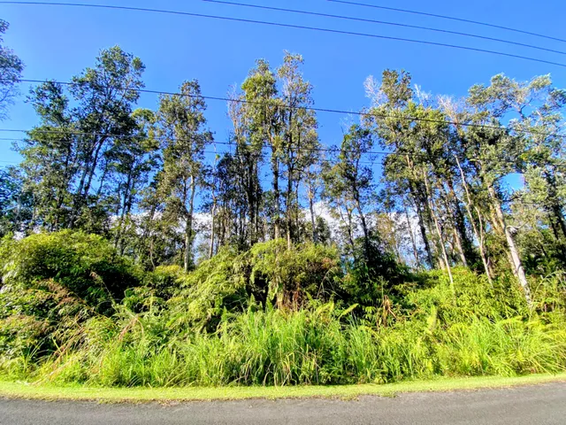 $35,000 | 65 Kahukai Street, Pahoa, HI 96778